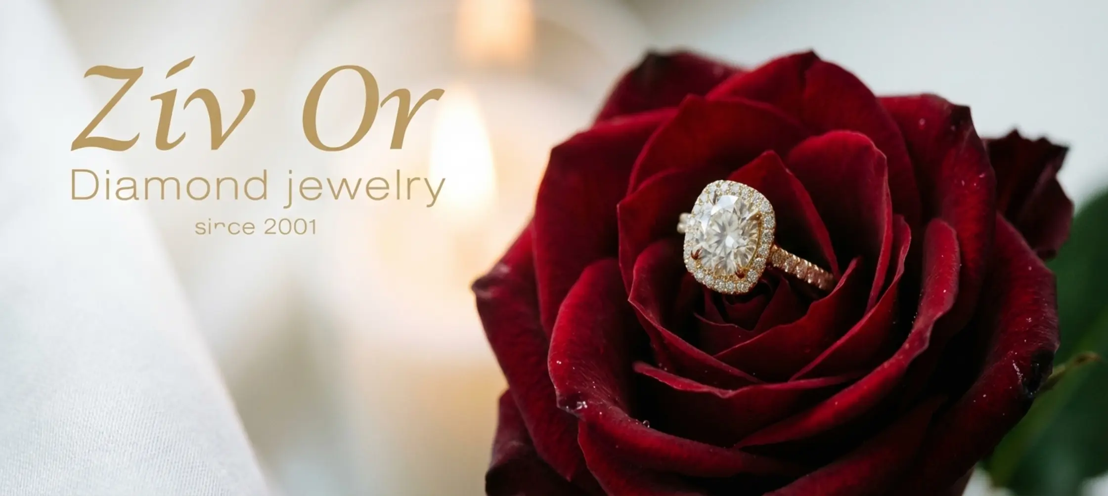 צילום תקריב אלגנטי של טבעת יהלום משובצת בזהב צהוב מונחת על גבי ורד אדום עמוק בתאורה רומנטית ורכה