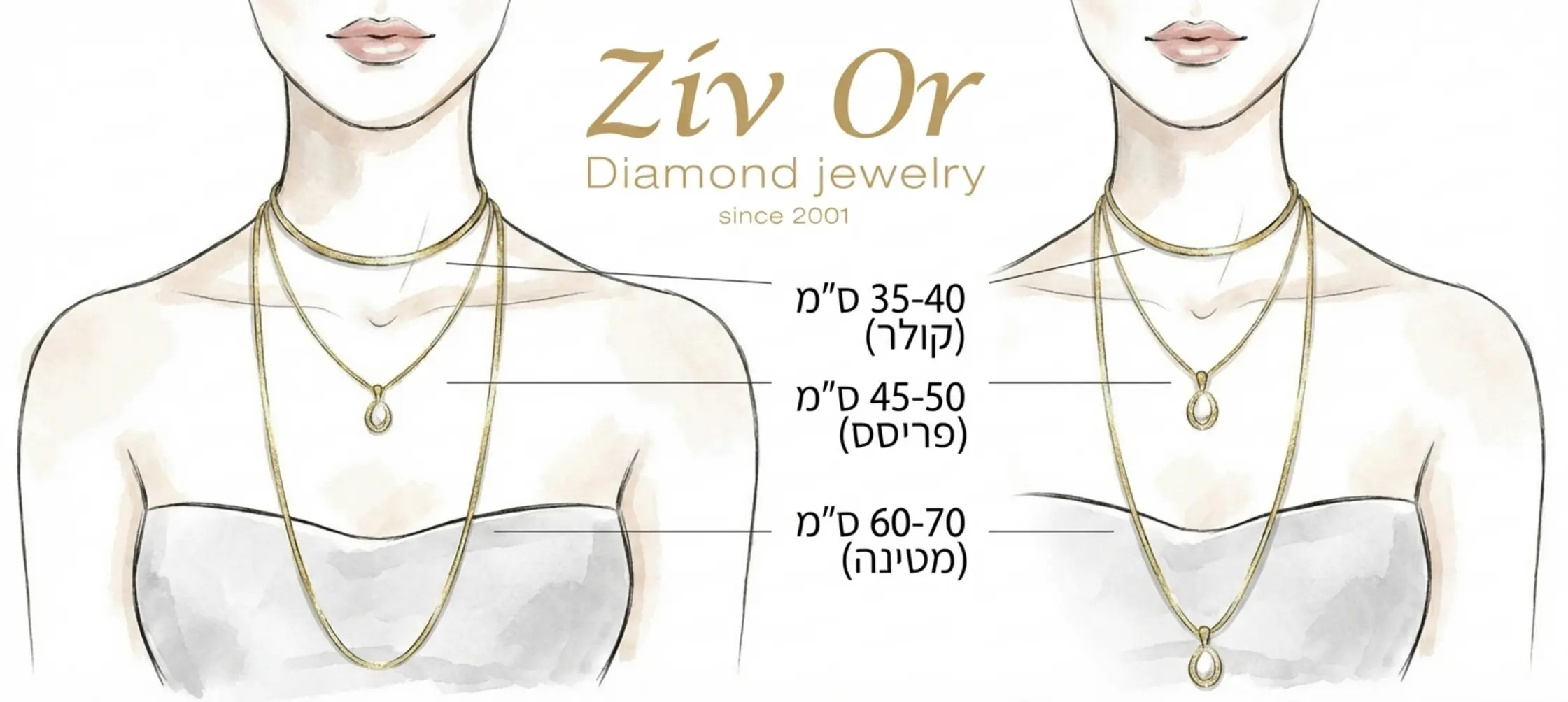 אינפוגרפיקה המציגה שלושה אורכים שונים של שרשראות על איור מעודן של צוואר אישה, עם סימון המידות בסנטימטרים לכל שרשרת, משלב הקולר ועד לשרשרת ארוכה המגיעה לקו החזה
