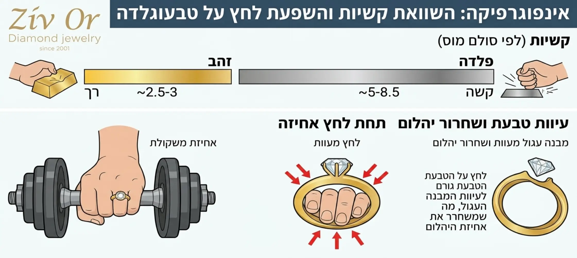 אינפוגרפיקה המציגה את מידת הקושי של זהב לעומת פלדה ואת האופן שבו אחיזת משקולת יוצרת לחץ המעוות את המבנה העגול של הטבעת וגורם לשחרור היהלום