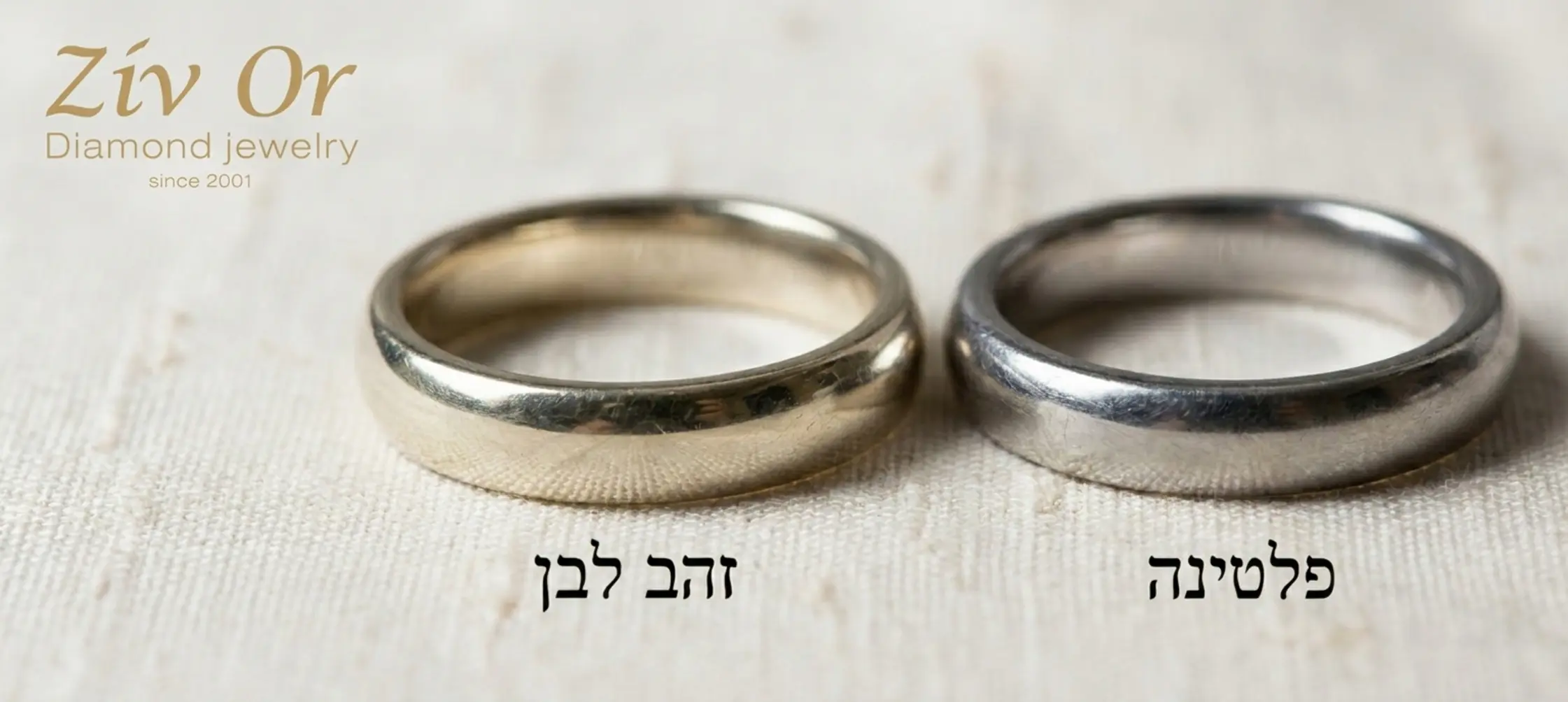 תמונה תקריב של שתי טבעות זהות בעיצובן המונחות זו לצד זו האחת מזהב לבן והשנייה מפלטינה כדי להמחיש את גוון המתכת הטבעי