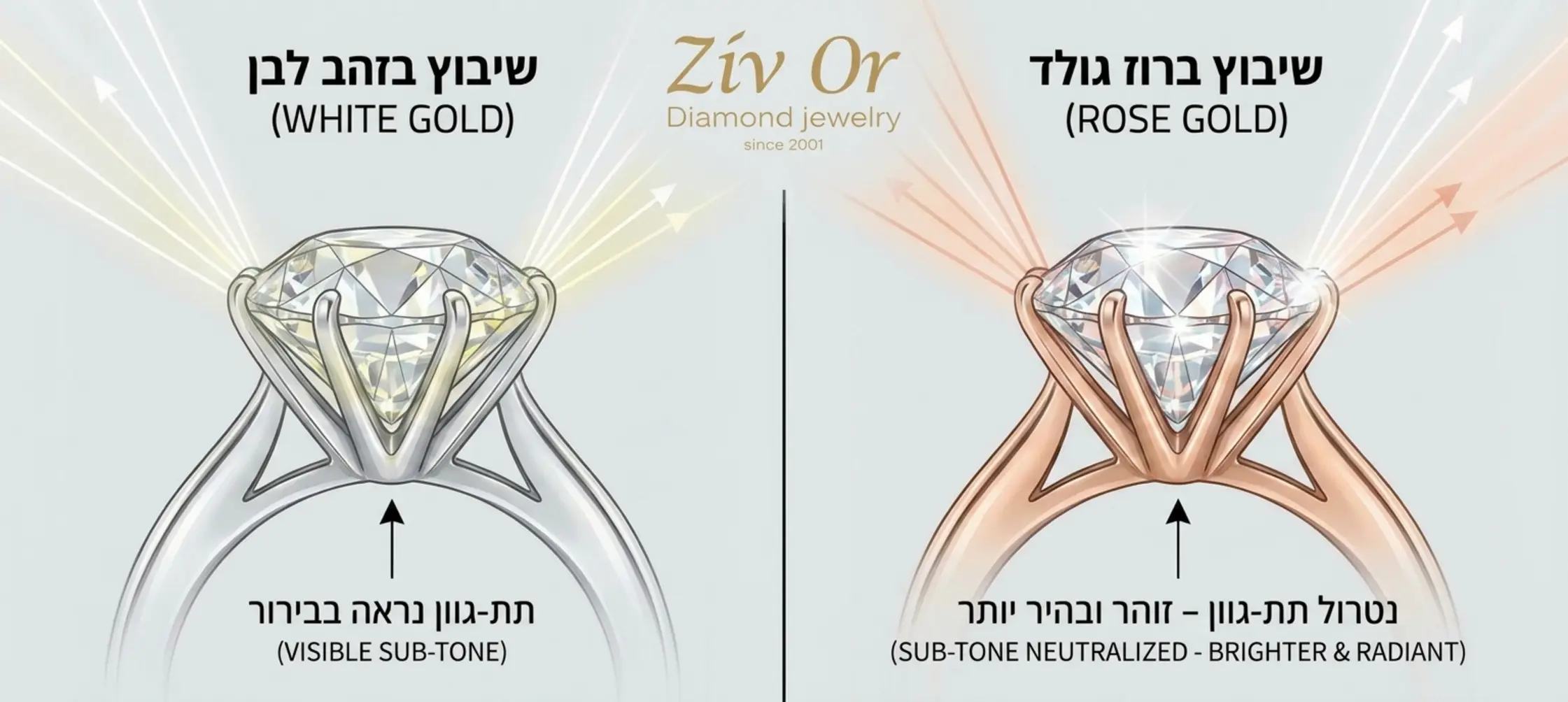 אינפוגרפיקה מקצועית המחלקת את המסך לשניים, בצד אחד יהלום משובץ בזהב לבן לעומת אותו יהלום משובץ ברוז גולד, האינפוגרפיקה ממחישה באמצעות קרני אור כיצד הזהב הוורוד מנטרל את התת גוון של היהלום וגורם לו להיראות זוהר ובהיר יותר
