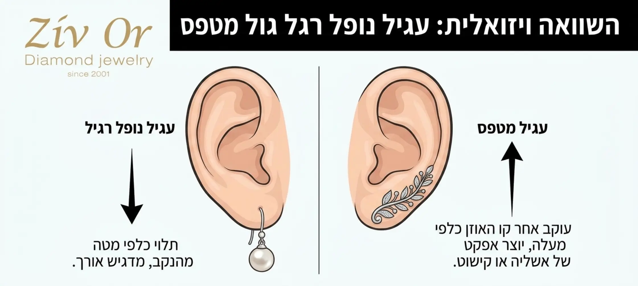 אינפוגרפיקה המדגימה את ההבדל הוויזואלי בין עגיל נופל רגיל לבין עגיל מטפס שמטפס לאורך תנוך האוזן