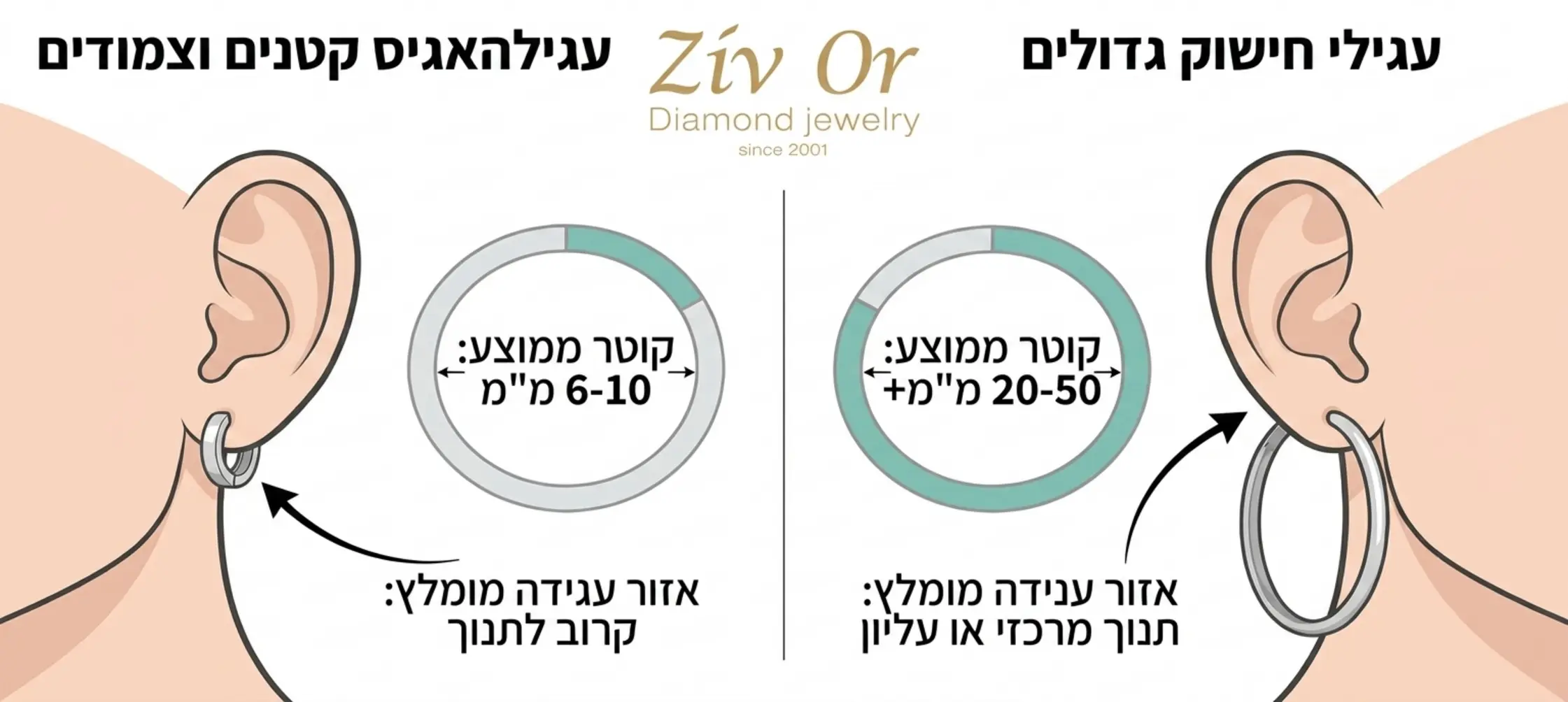אינפוגרפיקה המציגה השוואה חזותית בין עגילי האגיס קטנים וצמודים לבין עגילי חישוק גדולים, עם תרשים המראה את הקוטר הממוצע של כל סוג ואת אזור הענידה המומלץ על תנוך האוזן